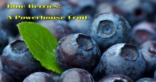Health Benefits of Blueberries. A close-up picture of a bunch of blueberries.