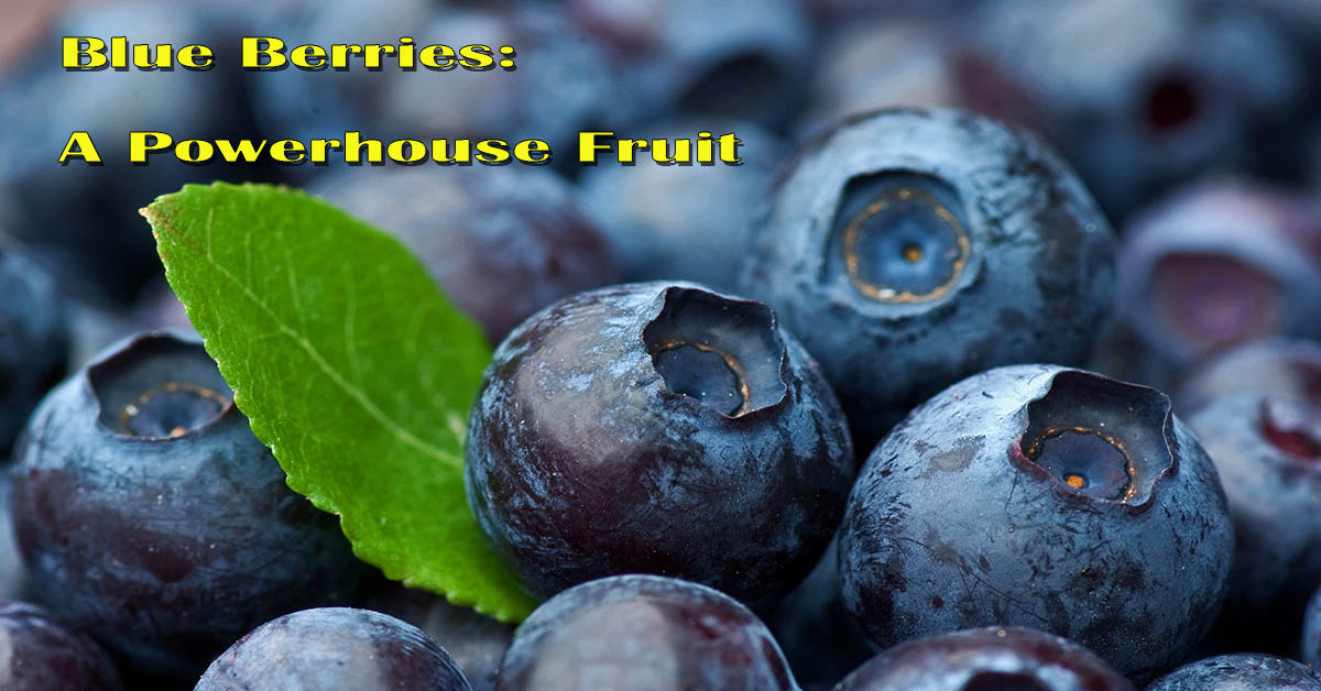 Health Benefits of Blueberries. A close-up picture of a bunch of blueberries.