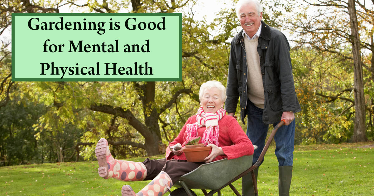 How Gardening Can Keep You Healthy, Mentally and Physically. Picture of an older caucasian male and female with the female riding in a wheelbarrow and both are laughing.